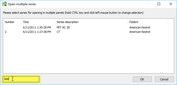 RadiAnt_DICOM_Viewer_Multiple_Series_Window_Filter