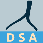 Digital Subtraction Angiography (DSA)