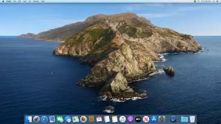 RadiAnt DICOM Viewer on macOS Catalina